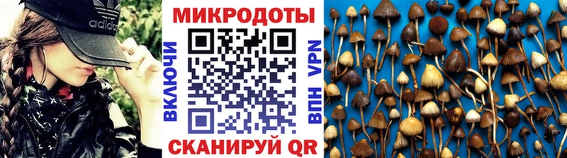 даркнет Telegram  Обоянь  Псилоцибиновые грибы GOLDEN TEACHER 