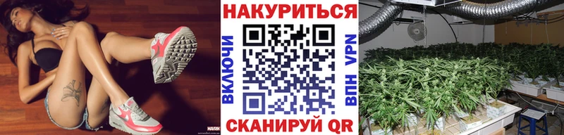 Марихуана SATIVA & INDICA  где продают наркотики  omg зеркало  Обоянь 